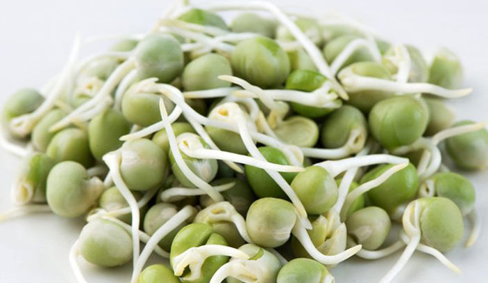 Anagain in Skincare & Haircare | Benefits, Uses & Regeneration