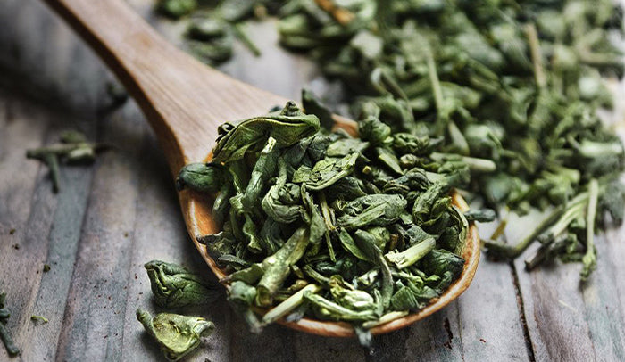 Green Tea in Skincare & Haircare | Benefits, Uses & Antioxidant Protection