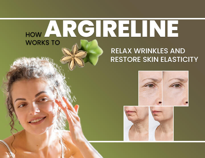 How Argireline Works to Relax Wrinkles and Restore Skin Elasticity