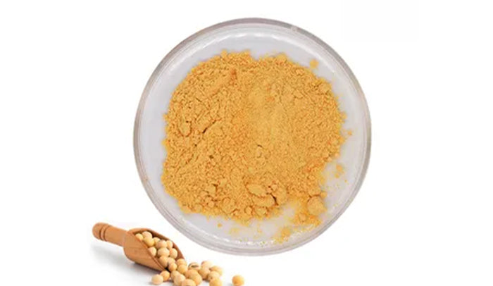 Phospholipids in Skincare | Benefits, Uses & Skin Barrier Support
