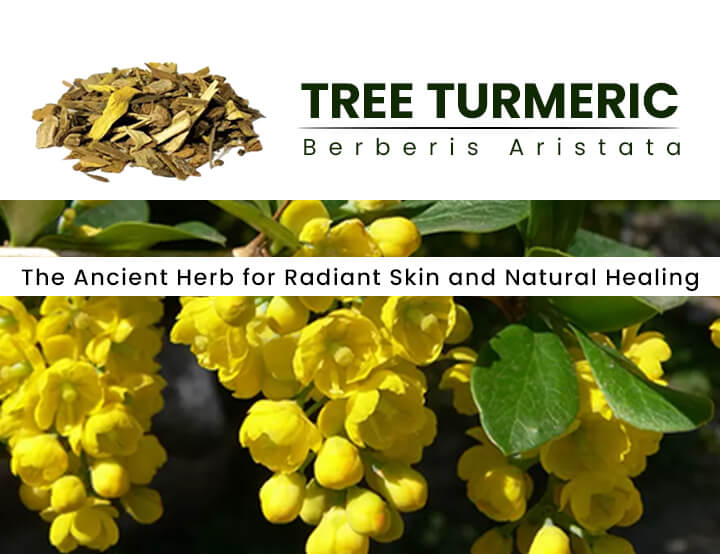 Tree Turmeric: Ancient Herb for Radiant Skin and Natural Healing
