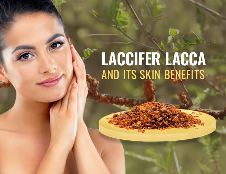 Laccifer Lacca and Its Skin Benefits: A Natural Solution for Radiance