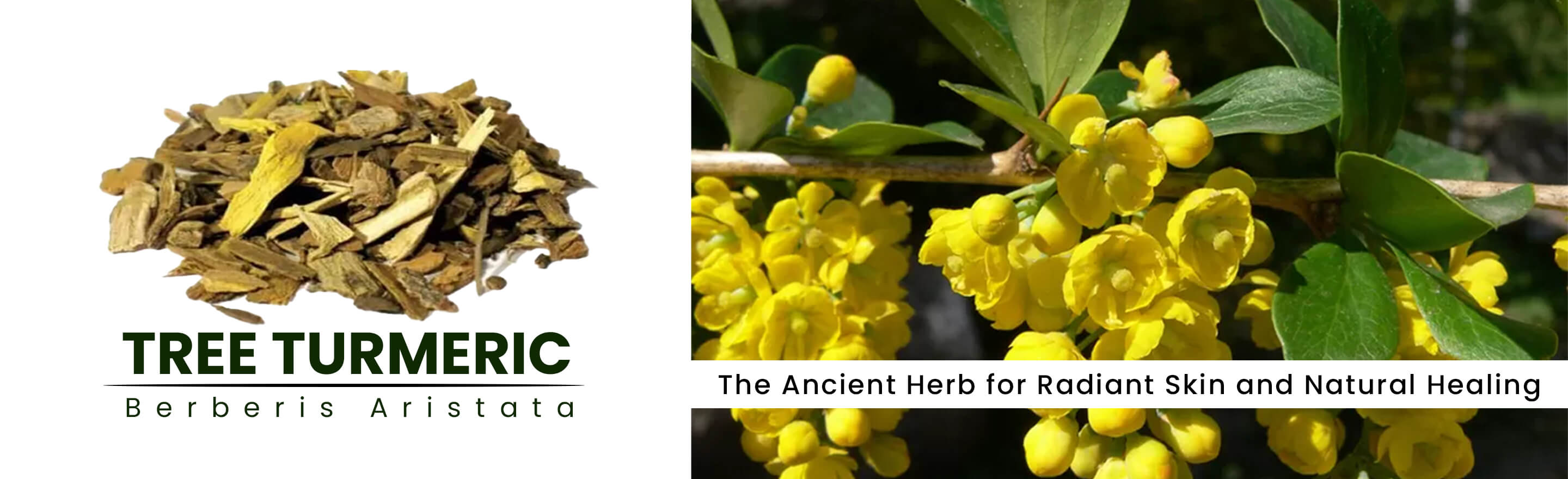 The ancient herb for radiant skin and natural healing